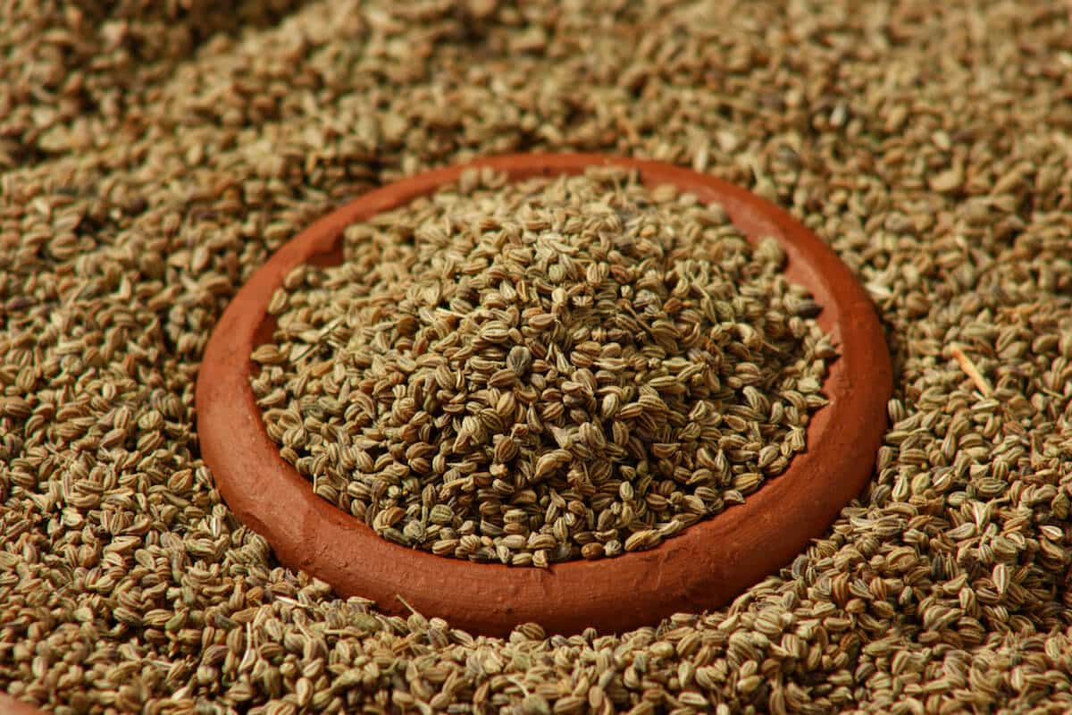 CAROM SEEDS