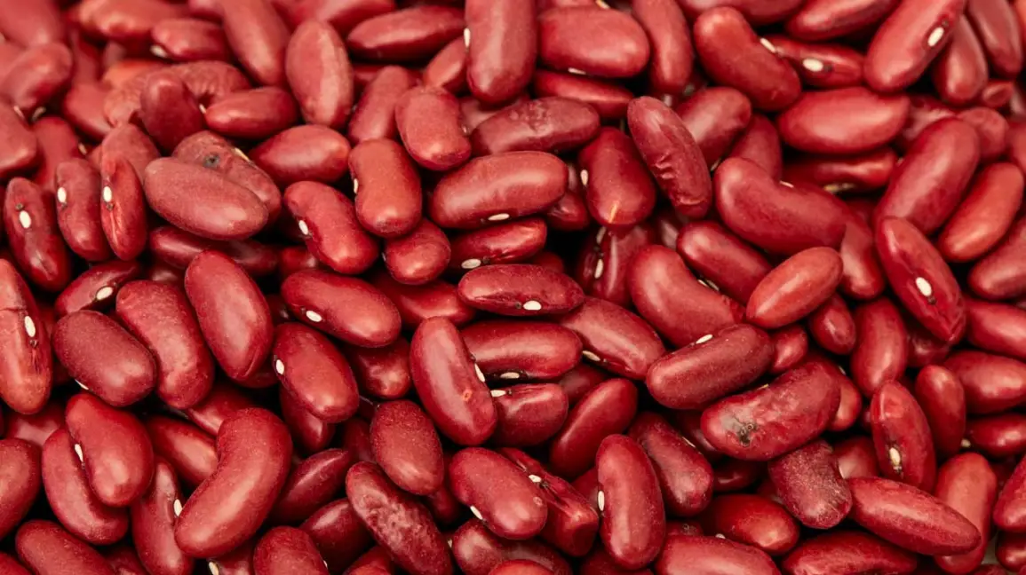 KIDNEY BEANS