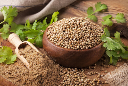 CORIANDER POWDER