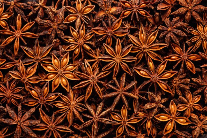 STAR ANISE SEEDS